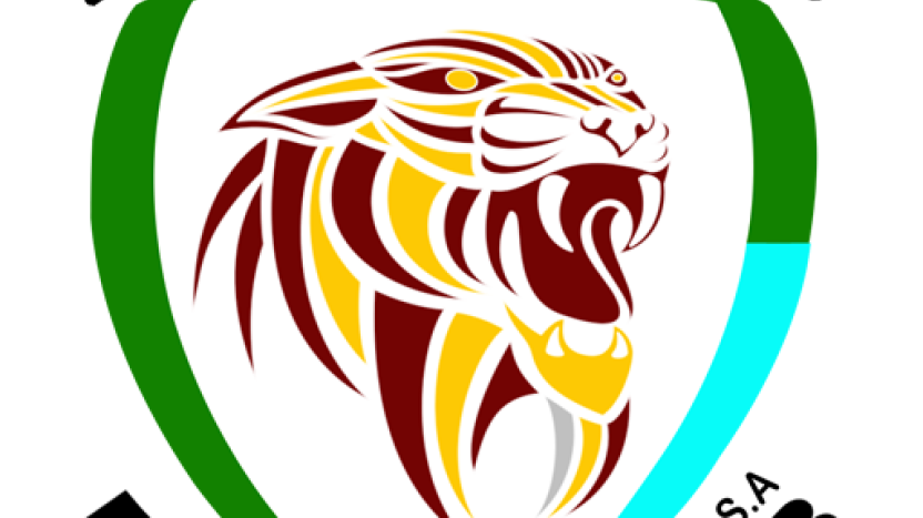 INTRO JAGUARES