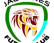 INTRO JAGUARES